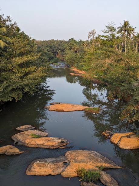 istock Tropical forest in Kerala 2148922466