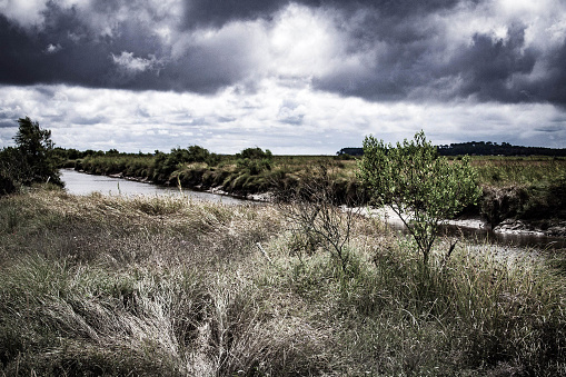 This image, rendered in dramatic grayscale, captures a river as it meanders through a moody landscape. Tall grasses bow before the wind, and sparse shrubbery punctuates the scene, set under a tumultuous sky heavy with storm clouds. The river’s surface gleams, reflecting the somber light of an overcast day. This contrast of dark skies and the silver ribbon of water creates a sense of both foreboding and tranquility, encapsulating the calm before the storm in an otherwise desolate terrain.
