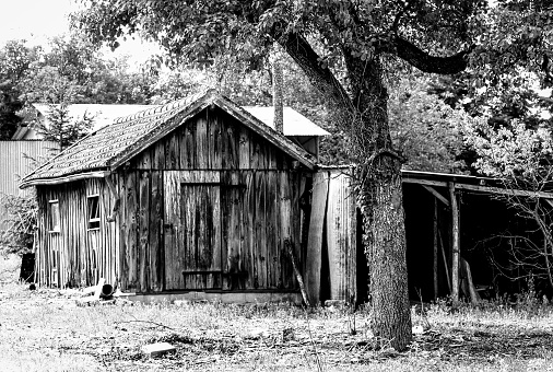 This black and white photograph captures a weathered wooden shack, its timeworn planks and sloping roof telling a story of age and neglect. The rustic structure stands among trees, their branches intertwining with the decaying architecture. The sharp textures of the wood and the patterns of the roof shingles are highlighted by the stark contrasts of light and shadow. This haunting image of rural decay conveys a sense of history and the inexorable passage of time, as nature slowly reclaims what was once built by human hands.