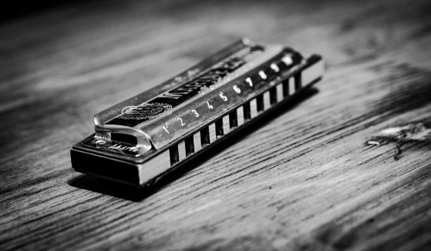 Melodies of Monochrome
