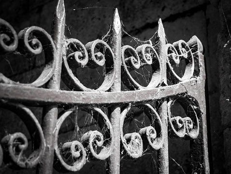 This close-up shot reveals the intricate detail of an ornate iron gate, shrouded in the delicate threads of cobwebs. The metalwork, featuring spirals and pointed tips, tells of craftsmanship from another era, now veiled by the work of time and spiders. The monochromatic palette enhances the textures, from the smooth curves of iron to the gossamer webbing. It's a still life where the forgotten artistry of human creation meets the persistent and quiet occupation of nature, creating a poignant juxtaposition of abandonment and ongoing life.