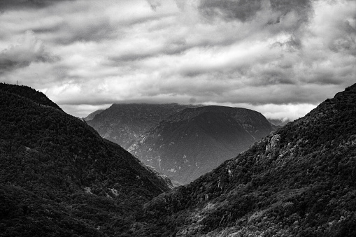This black and white image offers a commanding view of a rugged mountainscape. The undulating terrain rises steeply, with each mountain cloaked in a shroud of textured trees and foliage. Foreboding clouds loom above, their billowing forms mirrored by the dark valleys below. The layers of the landscape are captured in varying shades of gray, creating a dynamic range of light and darkness that gives the scene a solemn grandeur. The absence of color emphasizes the raw, untamed essence of this vast wilderness.