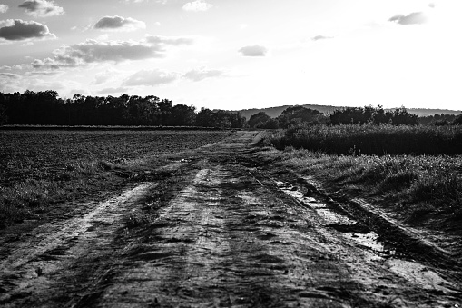 This monochrome photograph captures a raw and tranquil rural scene. A rough dirt path, etched by the passage of vehicles, leads the eye through a field towards a distant treeline under a dramatic sky. The textures of the ground in the foreground contrast with the soft, blurred foliage in the distance, creating a sense of depth. The sky, dotted with clouds, adds a dynamic element to the image, while the play of light and shadow enhances the photo's contemplative mood.