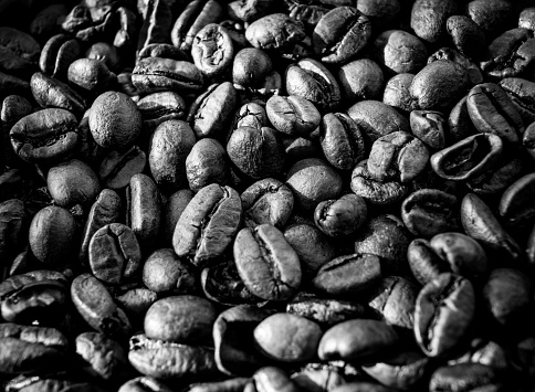 This photograph showcases a close-up of roasted coffee beans in rich detail. The monochromatic tones highlight the beans' textured surfaces and deep fissures, creating a striking contrast between the beans' rounded shapes and the shadows they cast. The beans are densely packed, offering a glimpse into the world of coffee beyond the cup, with each bean's unique contours contributing to a tapestry of shades from light to dark, emulating the complexity of coffee's flavor profile in visual form.