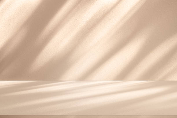 istock Wall interior background, studio and backdrops show leaf products.with shadow from window color beige and white. background for text insertion and presentation product 2148924566