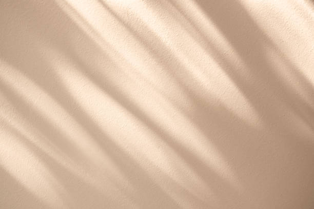 istock Wall interior background, studio and backdrops show leaf products.with shadow from window color beige and white. background for text insertion and presentation product 2148924590