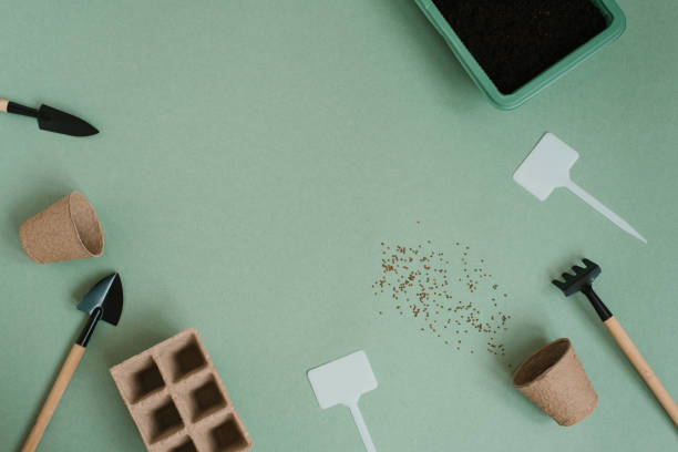istock Planting a flower in a flower pot. A flat composition with garden tools and peat on a green background. Copy space 2148924730