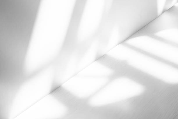 istock Wall interior background, studio and backdrops show products.with shadow from window color white . background for text insertion and presentation product 2148925432