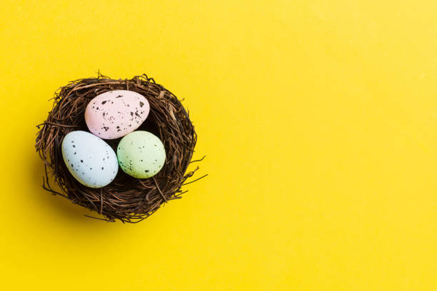 istock Colorful easter eggs in nest on table background with copy space top view 2148925904