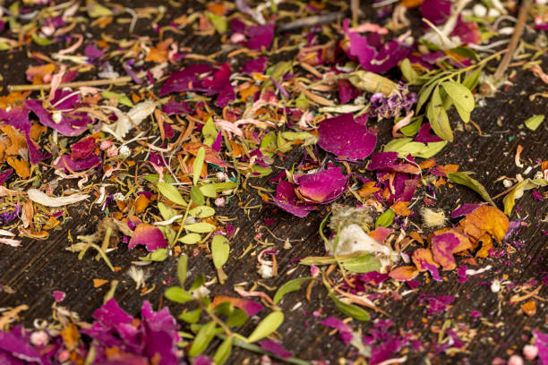 istock an old dried bouquet for a gift from a complex of flowers 2148927149
