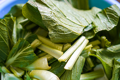 Collard greens are fresh, leafy green vegetables that are commonly stir-fried with noodles and have high nutritional value.