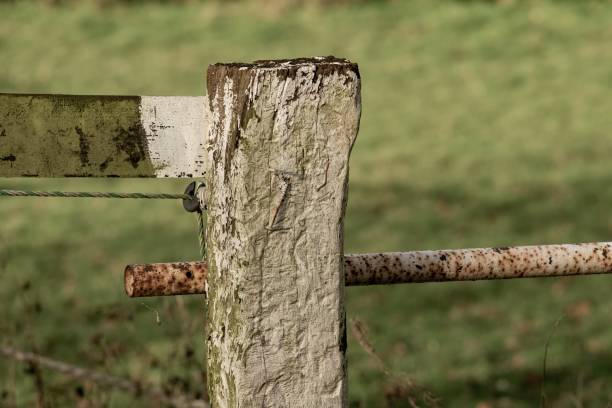 istock rough old wooden post for pasture fence 2148927558