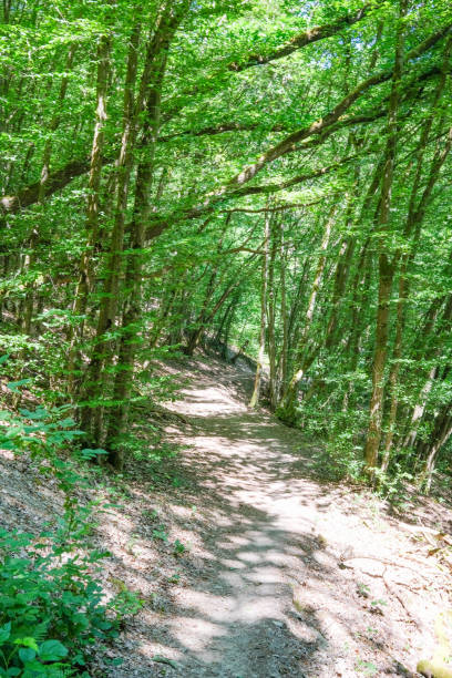 istock wonderful path in the beautiful landscape 2148927840