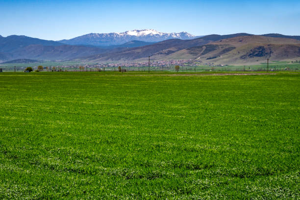 Beautiful landsacpe in the spring
