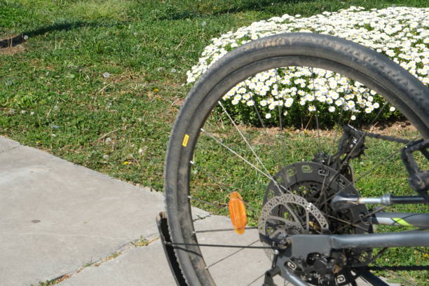istock healthy life by bike 2148929235