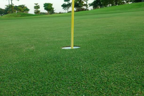 istock Hole with flagpole in golf course on green grass field. 2148931206