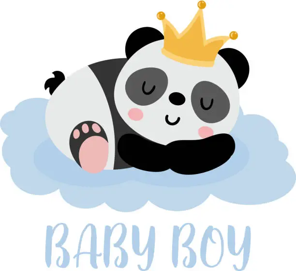 Vector illustration of Cute prince panda baby boy