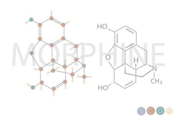 Tetrabornmobisphenol-A (TBBA) Trends and Strategic Analysis 2025–2035 Tetrabornmobisphenol-A (TBBA) Trends and Strategic Analysis 2025–2035