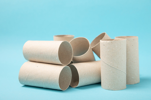 Empty toilet paper roll. Empty toilet paper rolls and plant for on background. Paper tube of toilet paper. Place for text. Copy space. Flat lay. Eco-friendly reuse recycle