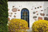 A fragment of a white stucco wall of an ancient building with protruding stones. There is an arched window with blue glass. In the foreground is a blooming forsythia. Background.