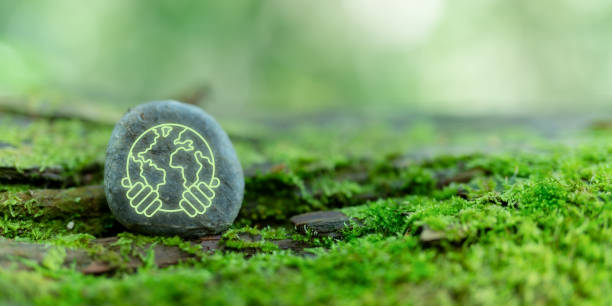 istock ave the planet,eco friendly, saving environment, save clean planet, ecology concept. Green business and sustainable environment. Protect the environment. World earth day, world environmental day. 2148940962