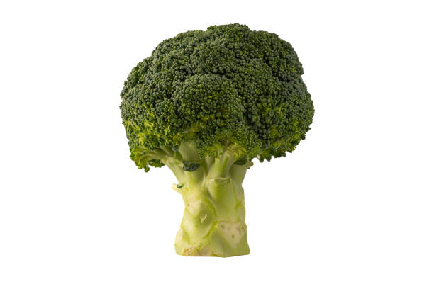 istock Fresh green broccoli stem vertical on a white background 2148945043