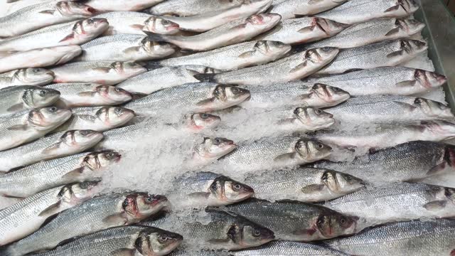 Pile of fresh fish market