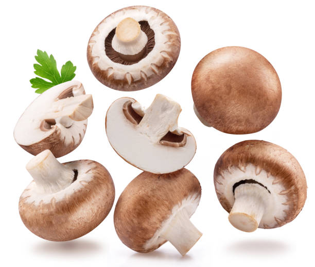 istock Brown cap champignons levitating in air on white background. 2148945926
