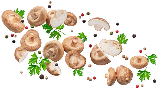 Shiitake mushrooms and mushroom pieces with spice and herbs flying in air. File contains clipping paths.
