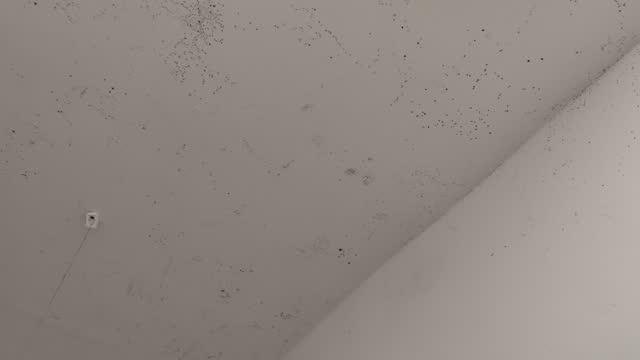 Mold on the bathroom ceiling