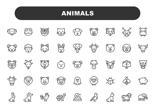 Animals Line Icons. Editable Stroke. Contains such icons as Rabbit, Bunny, Dog, Chicken, Turtle, Bee, Sheep, Cow, Pig, Cat, Snake, Mouse, Elephant, Parrot.