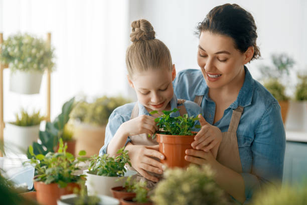 istock Family caring for plants 2148947623