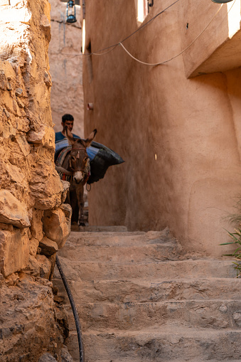 Al Hamra, Oman - 1. November 2023: Men leading  packed donkey with soil down the stairs in front of old buildings in desert village in Wadi Bani Awf - Al Hamra