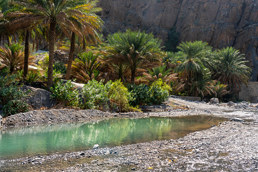 Entrance to the Wadi Al Nakhr under Jebel Shams. Green palm trees. Oman