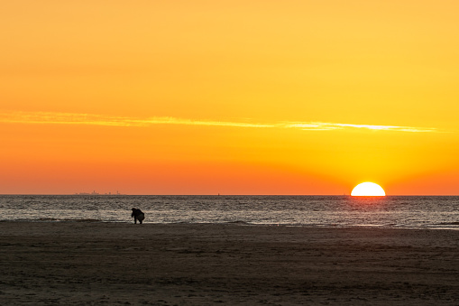 Taking pictures of a setting sun. Romantic golden hour on the beach of Texel. Beautifully colored horizon in the golden hour on the North Sea beach of Texel