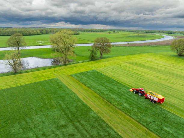 Tractor mowing and collecting grass in a meadow during springtime seen from above. An agricultural mower is mounted on the front of the tractor and a the tractor is hauling a trailer for collecting the fresh green grass. The meadow is located next to a nature reserve with the river Vecht flowing in the background.
