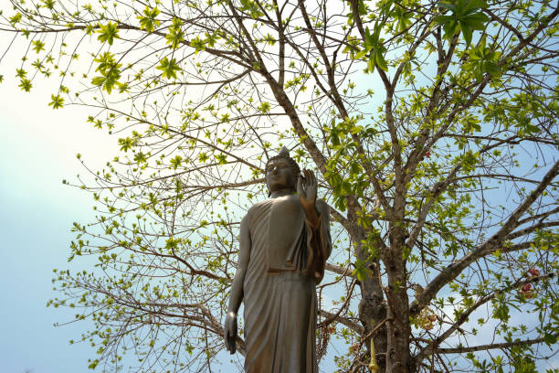 Stand Buddha Statue in Thailand Temple.