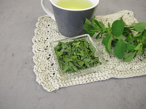 Alfalfa leaf tea, herbal tea from dried lucern leaves - Luzerne Tee, Kräutertee aus Alfalfa Blättern