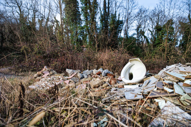 Trash in the Wild, the Global Problem of Ecological Disaster