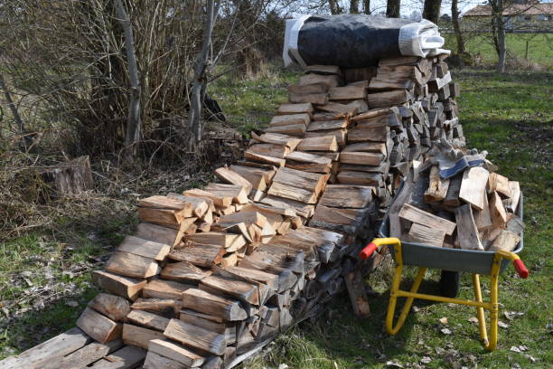 istock Bringing in the firewood - preparation and hard work. 2148955085