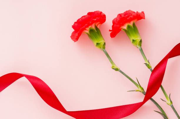 istock Flowers, carnations, Mother's Day, presents. 2148955230