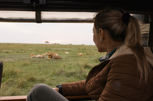 Carefree female tourist watching wild animals during game drive in Masai Mara national reserve.