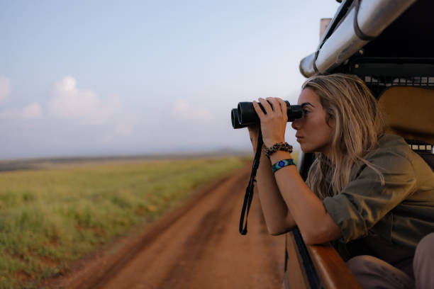 istock Female tourist using binoculars from a jeep in wilderness. 2148955468