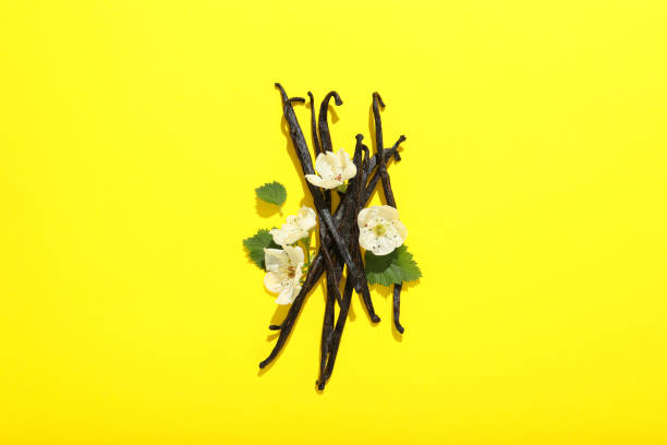istock Concept of aromatherapy with aromatic vanilla extract 2148955971