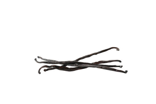istock PNG,vanilla pod, isolated on white background 2148956047