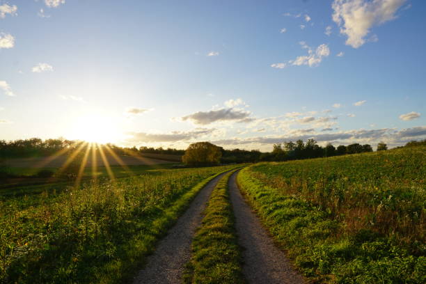 istock field path in southern germany at sunshine 2148958536