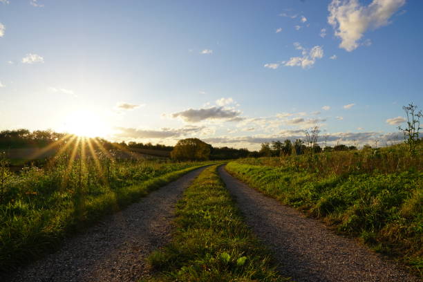 istock field path in southern germany at sunshine, frog perspective 2148958781