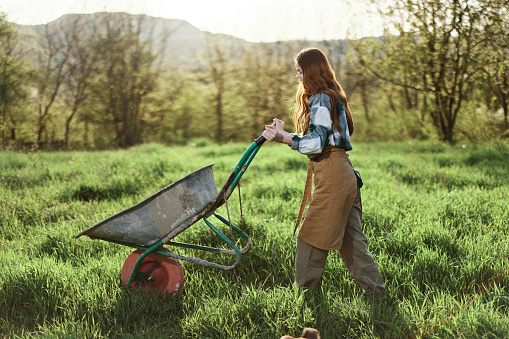 A young woman rolls a garden cart with soil for planting in her green nature garden and smiles. High quality photo