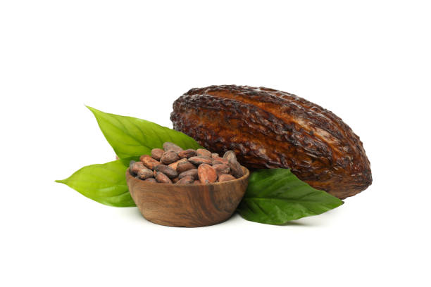 istock PNG, ingredient for making chocolate - cocoa, isolated on white background 2148960868