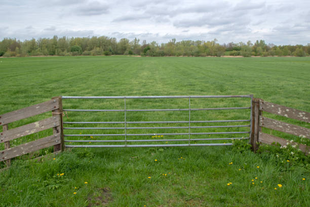 Front View Gate At A Farmland At Abcoude The Netherlands 8-4-2024